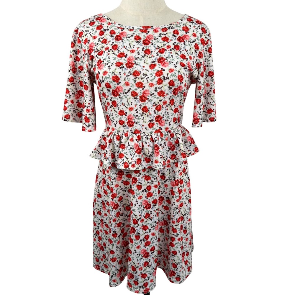 PLT 8 Peplum Dress Americana Ditsy Floral Open Back Prairie Cottage Coquette USA